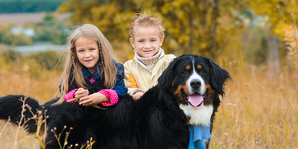 FURTALKS @ Aussie Pet Collective - Dog Bite (Humans) and (Dogs)