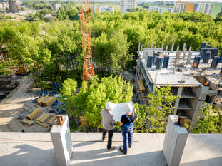 What Is an Arboricultural Method Statement?