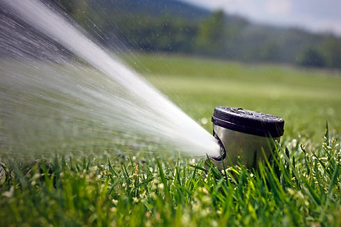 Irrigation sprinkler on golf course spraying water
