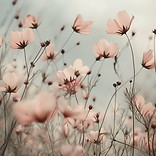 Rosa Blumen auf dem Feld