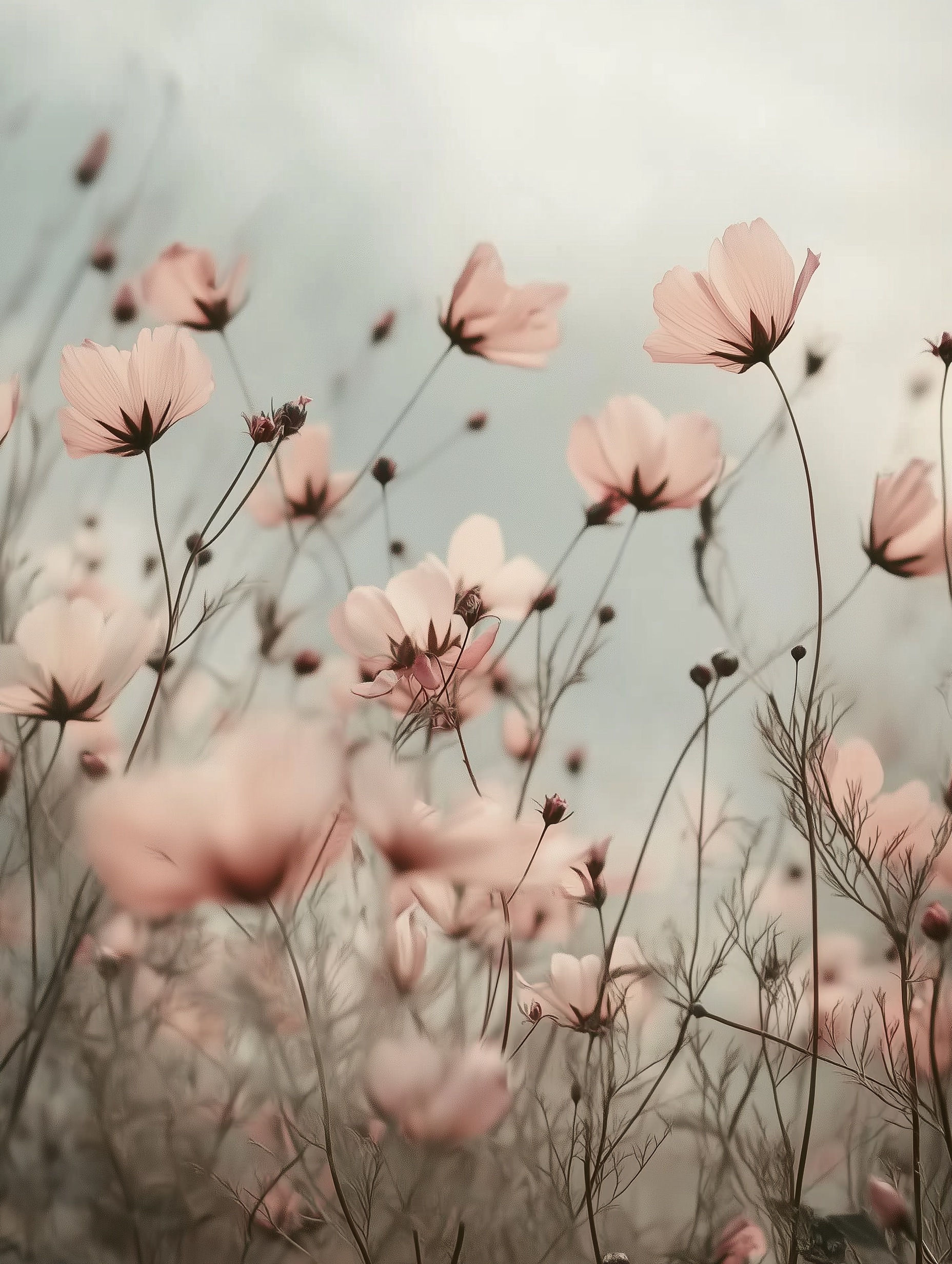 Mystery Fibre Club - Fine & Medium Wools