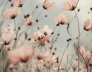 Pink Wildflowers Field