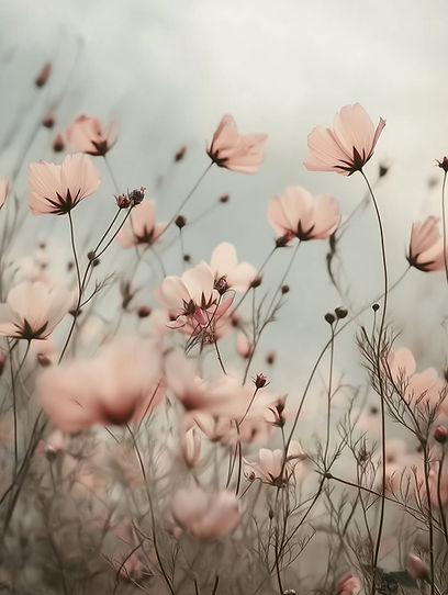 Rosa Blumen auf dem Feld