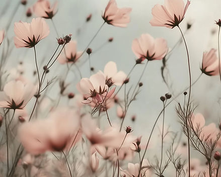 rosa Wildblumenfeld