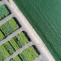 Aerial Crop Fields