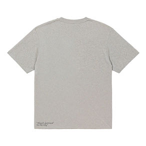 Gray T-Shirt Back