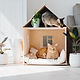 Cats at Home