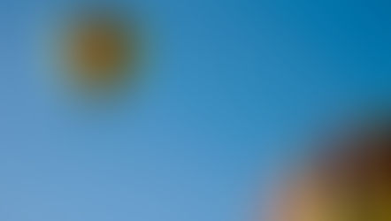 Mitigate Effects of Inflation