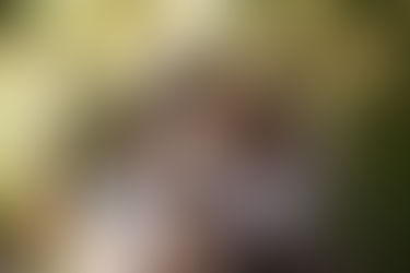 An Interview with Dr. Sam Bommarito on Reading Above the Fray