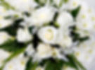 White floral display