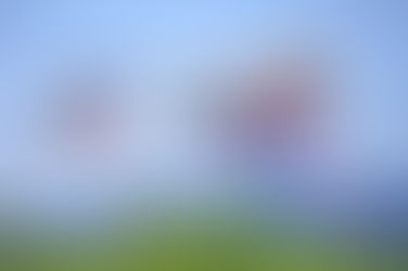  ゴールデンウィーク休業のお知らせ