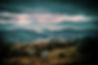 Cloudy Day