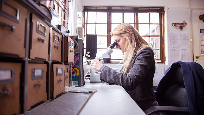 À quoi correspond le test d'évaluation d'entrée de Seconde ?