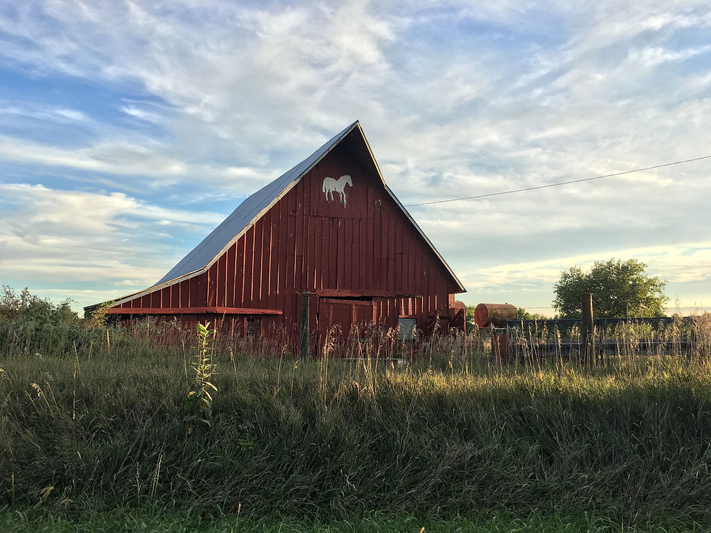 Horse Ranch