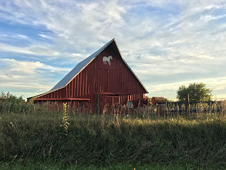 Horse Ranch