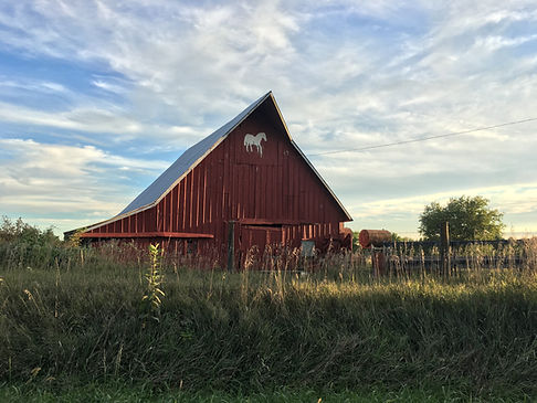 Horse Ranch