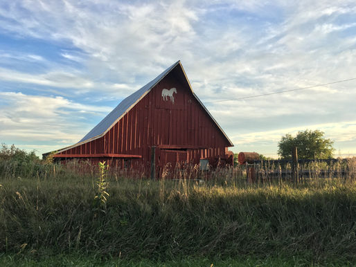 Why Choosing the Right Real Estate Partner Matters in Texas