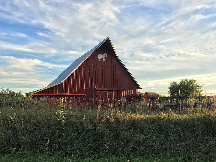 Horse Ranch
