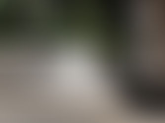 Designing with Biophilic Principles: Enhancing Your Residential Spaces