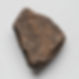 Fossilized Plant Imprint