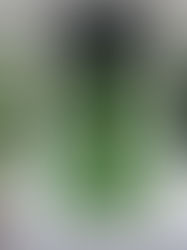 Strategies to Safeguard Your Home Against Water Damage