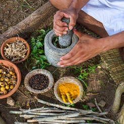 Herbal Treatment