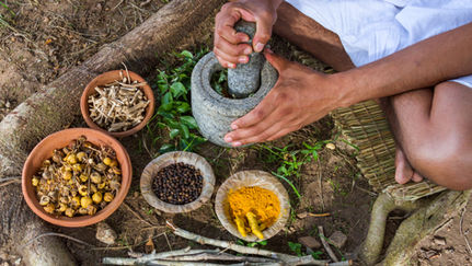 Préparation cuisine Ayurveda Maharishi pour favoriser l'équilibre naturel du corps