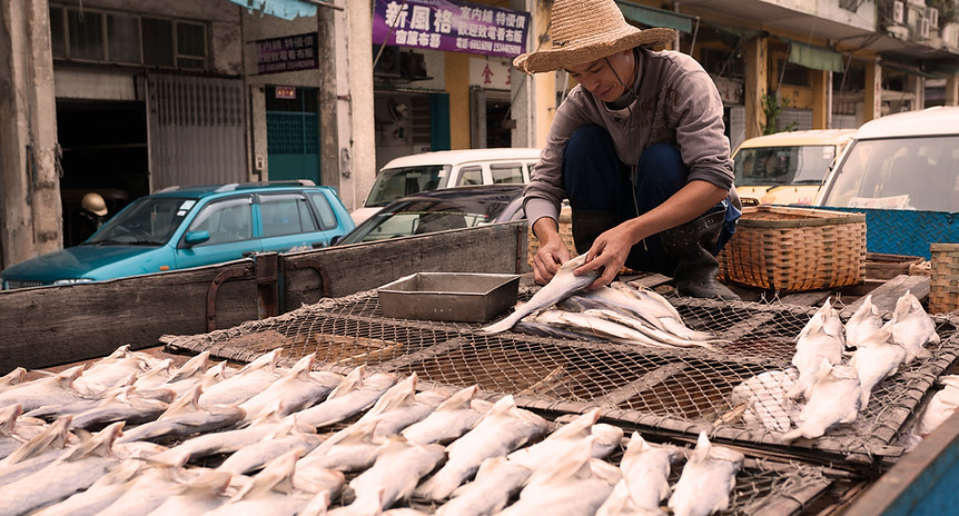Fisherman