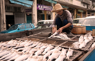 Pescador(a)