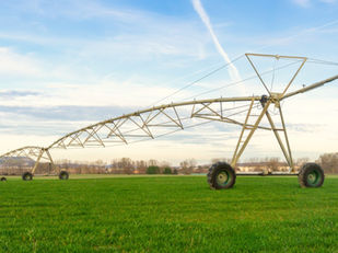 USDA: Plantio de soja segue em ritmo acelerado nos EUA e alcança 33% da área, acima de 2025