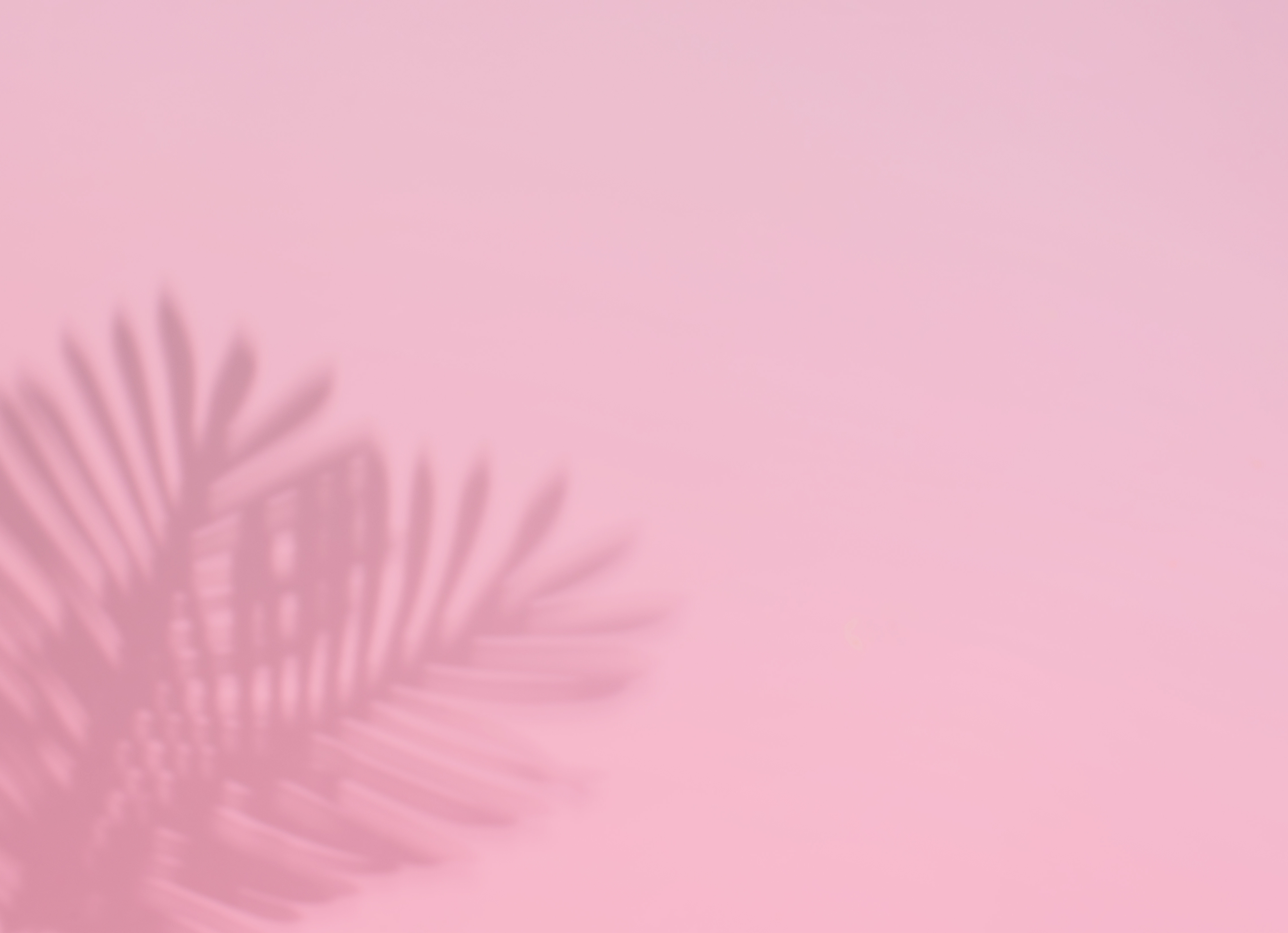 Pink Shadow Background