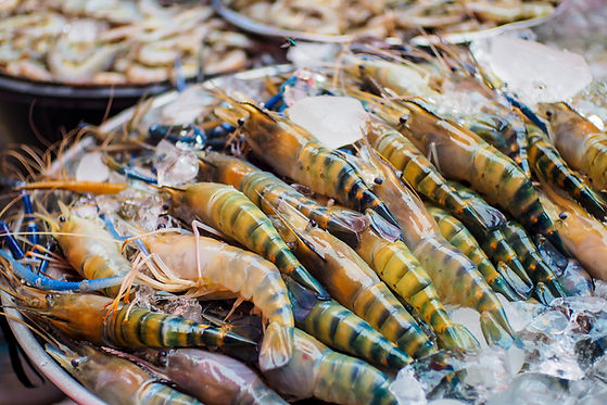 camarones