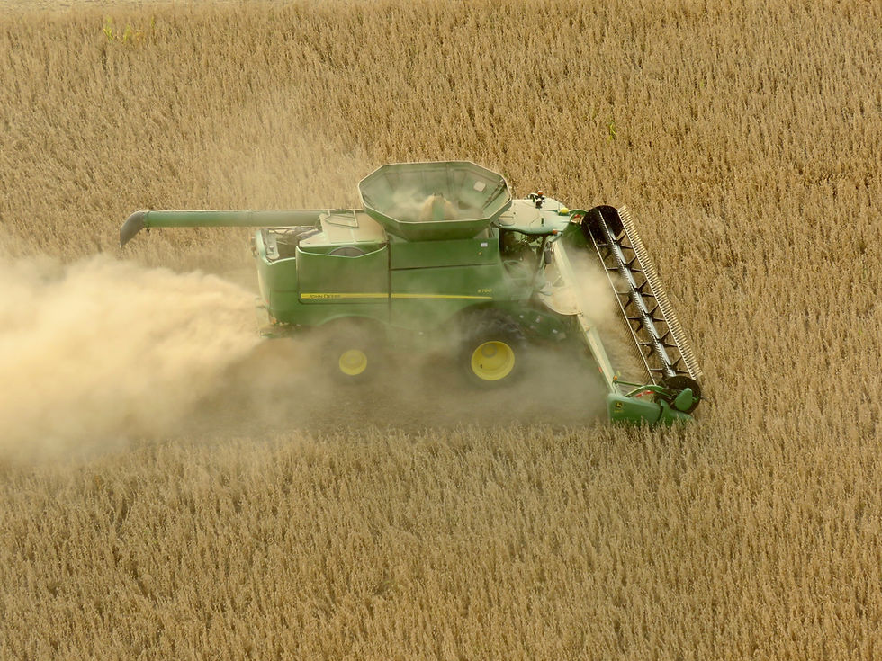 Harvest