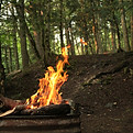 Lagerfeuer im Wald