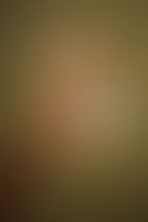 Schwermetalle in Tampons