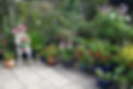 garden with flowerpots