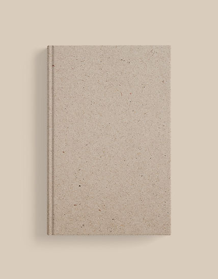 Beige Book