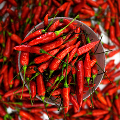 Chili Peppers