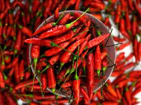 Capsaicina: El poder de calentar que alivia el dolor