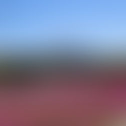 令和７年４月２６日　土曜日～GWに入りまして……５月に向けて