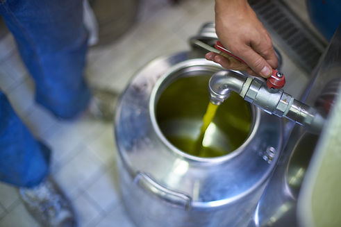 Olive Oil Production