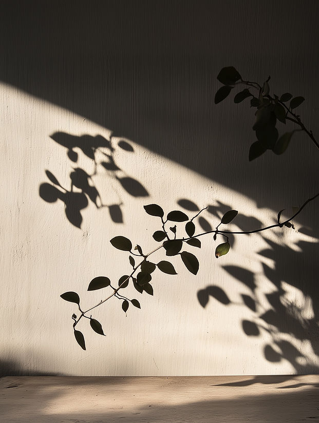 Branch Shadow Silhouette