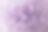 Purple Flower