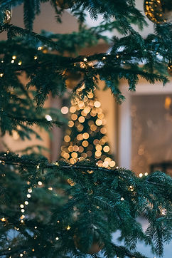 Kerst weergaven