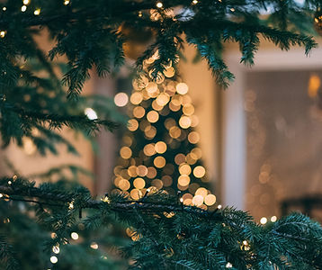 Christmas Views