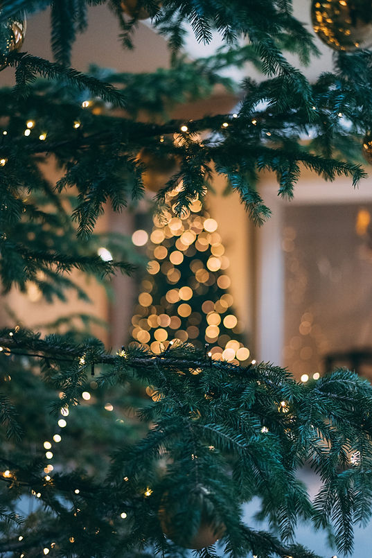 Christmas Views
