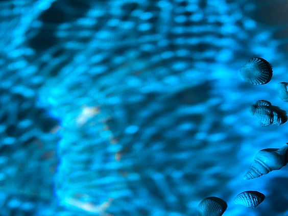 Blue Light