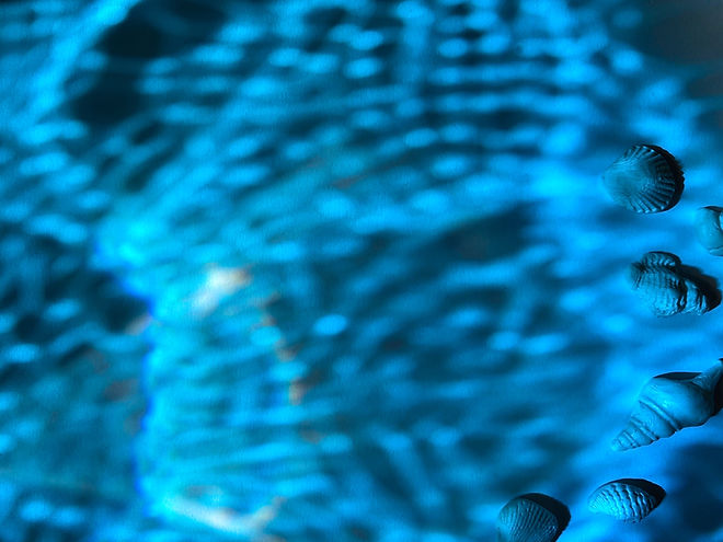 Blue Light