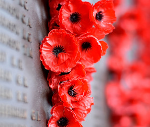 Poppy Wall