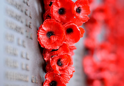 Poppy Wall